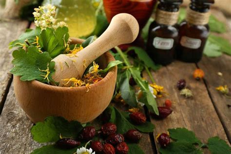 medicinal plants and herbs medicine